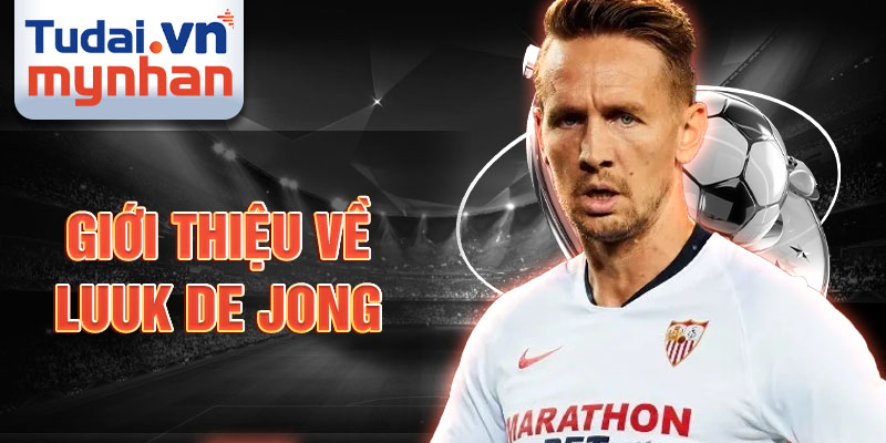 Giới thiệu về luuk de jong